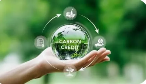 Carbon Credits Image
